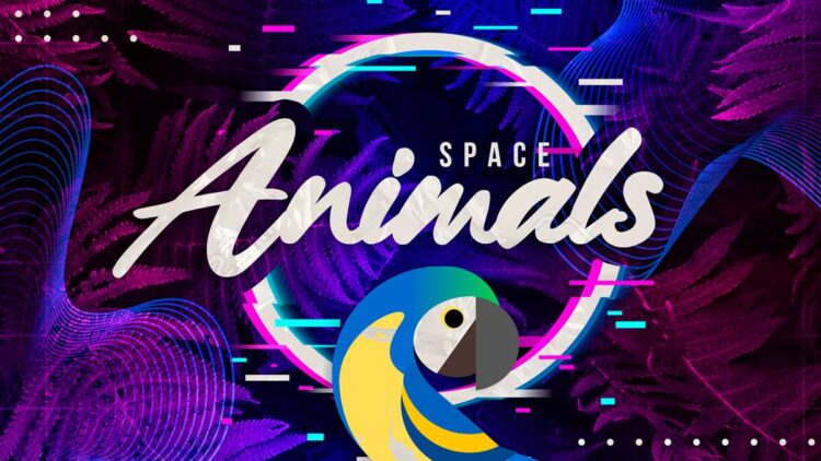 Projeto Space Animals lança o novo single “Lullaby”, simbolizado por um cachorro