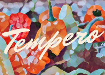 Trazendo o brega com pagode baiano, Santino estreia single ‘Tempero’