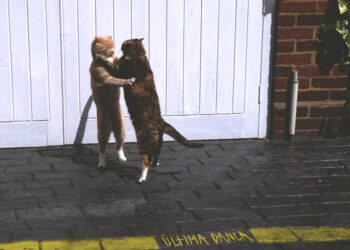 Fuze lança single “Última Dança” e fala sobre nova era musical: “Estamos cada vez mais nos apegando a nossa identidade”