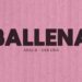 Ariel B lança novo single “Ballena”