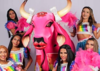 Festival ACEITA anuncia parte do line-up com Gaby Amarantos, Sandra de Sá, Gloria Groove, Banda Uó, Boi Boiola e Leona