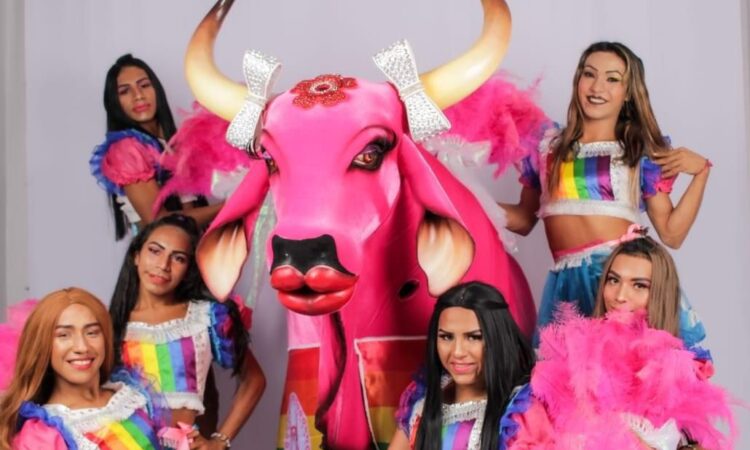 Festival ACEITA anuncia parte do line-up com Gaby Amarantos, Sandra de Sá, Gloria Groove, Banda Uó, Boi Boiola e Leona