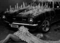 Capa do single 'Aurora' da cantora SIAMESE
